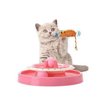 חנות חתולים