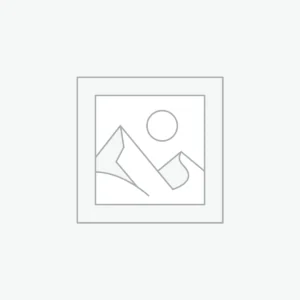 Proin malesuada ligula et arcu tincidunt bibendum